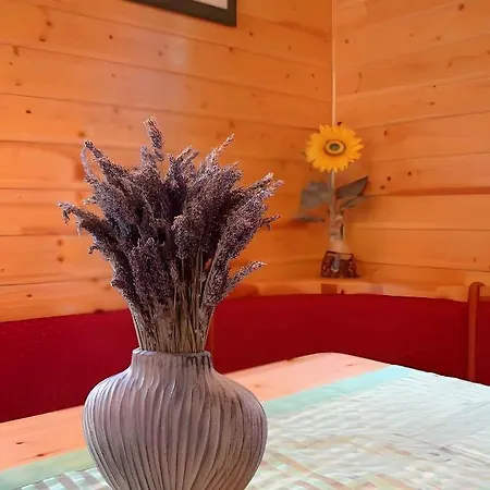 In - Gorski Kotar 14248 Nyaraló